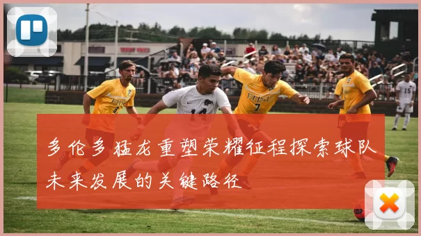 多伦多猛龙重塑荣耀征程探索球队未来发展的关键路径