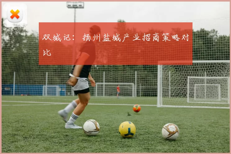 双城记：扬州盐城产业招商策略对比