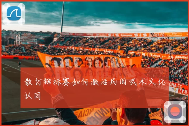 散打锦标赛如何激活民间武术文化认同