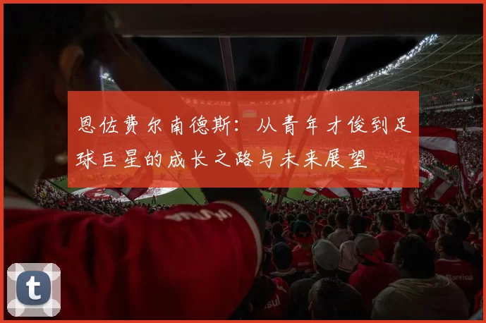 恩佐费尔南德斯：从青年才俊到足球巨星的成长之路与未来展望